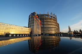 Image for article Europe: Declaration Requiring Action to End Organ Harvesting in China Co-Signed by More than Half of MEPs