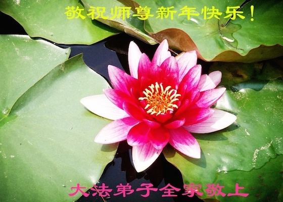 Image for article Falun Gong Practitioners and Supporters Send New Year Greetings to Master Li with Gratitude